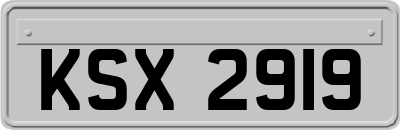 KSX2919