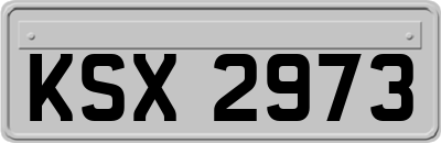 KSX2973