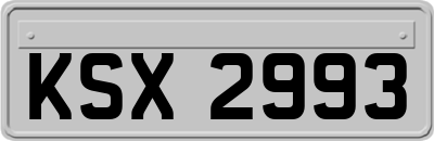 KSX2993