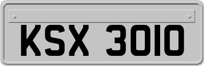KSX3010