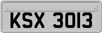 KSX3013