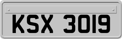 KSX3019