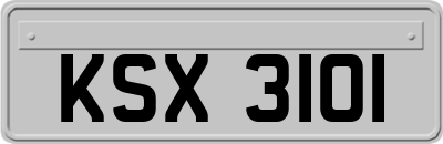 KSX3101