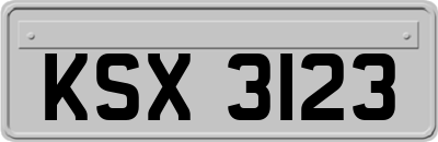 KSX3123