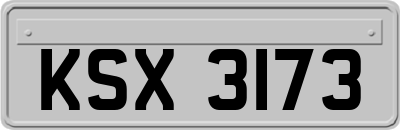 KSX3173