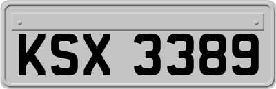KSX3389