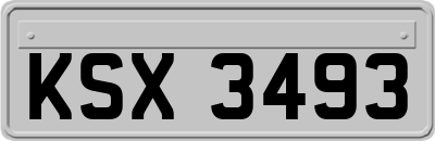 KSX3493