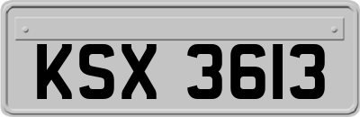 KSX3613
