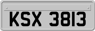 KSX3813
