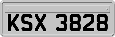 KSX3828