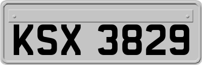 KSX3829