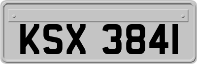 KSX3841