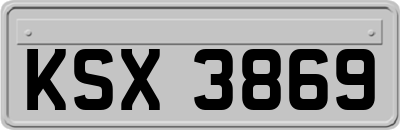 KSX3869