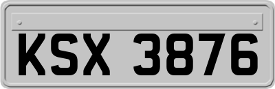 KSX3876