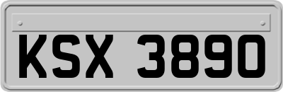 KSX3890