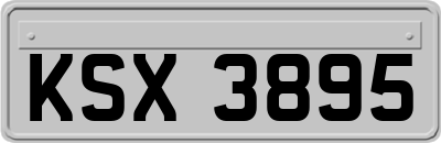 KSX3895