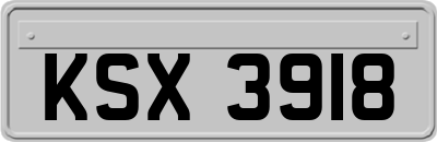 KSX3918