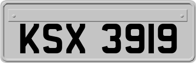 KSX3919