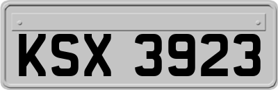 KSX3923