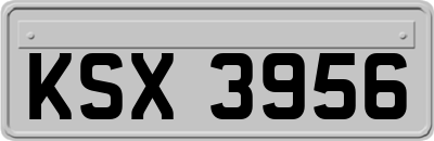 KSX3956