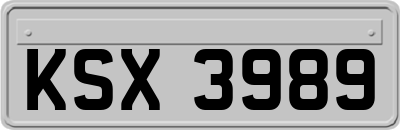 KSX3989