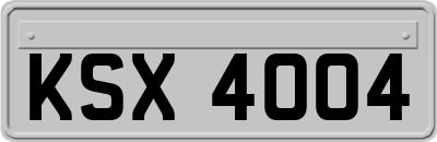 KSX4004