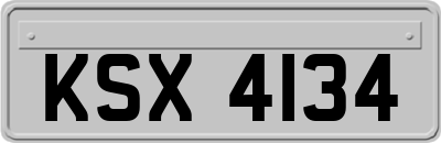KSX4134