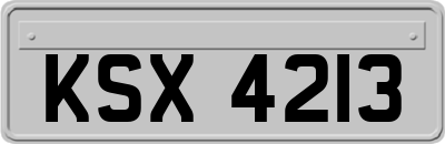 KSX4213
