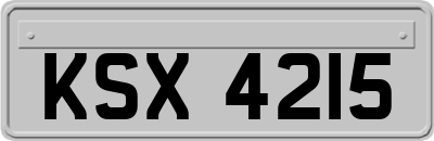 KSX4215