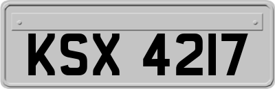 KSX4217