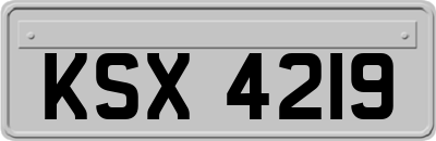 KSX4219