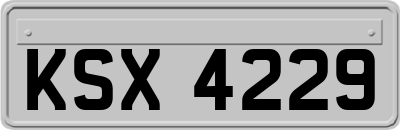KSX4229