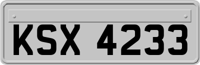 KSX4233