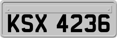 KSX4236