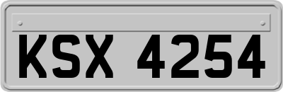 KSX4254