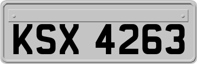 KSX4263