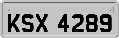 KSX4289
