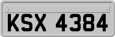 KSX4384