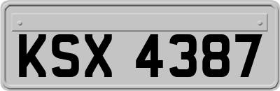 KSX4387