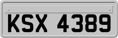 KSX4389