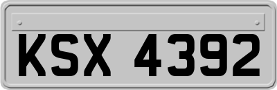 KSX4392