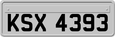 KSX4393