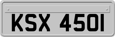 KSX4501