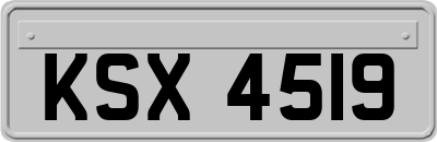 KSX4519