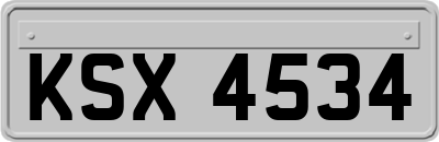 KSX4534