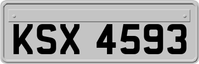 KSX4593