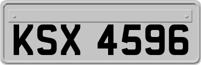 KSX4596