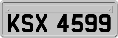 KSX4599
