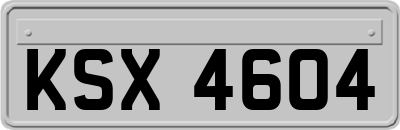 KSX4604