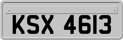KSX4613